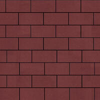  Тротуарная плитка Steinrus Прямоугольник Лайн 200х100х40 мм Красный Бассировка: внешний вид